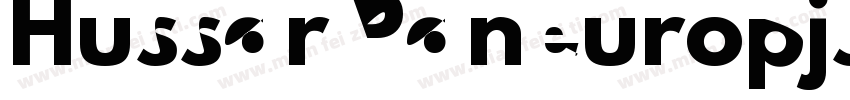 Hussar Paneuropjskich字体转换